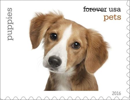 100 Puppy Postage Stamps Unused Pet Puppies Forever Postage Stamps